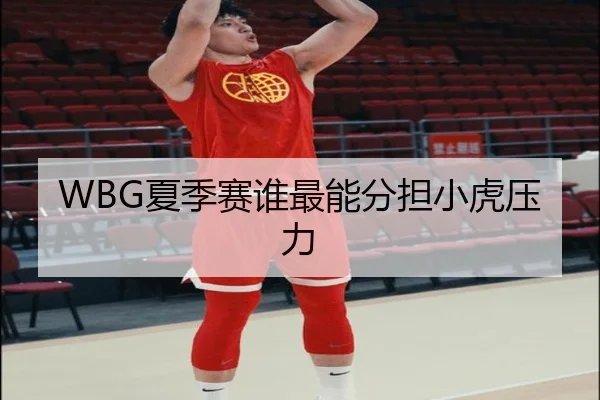 WBG夏季赛谁最能分担小虎压力
